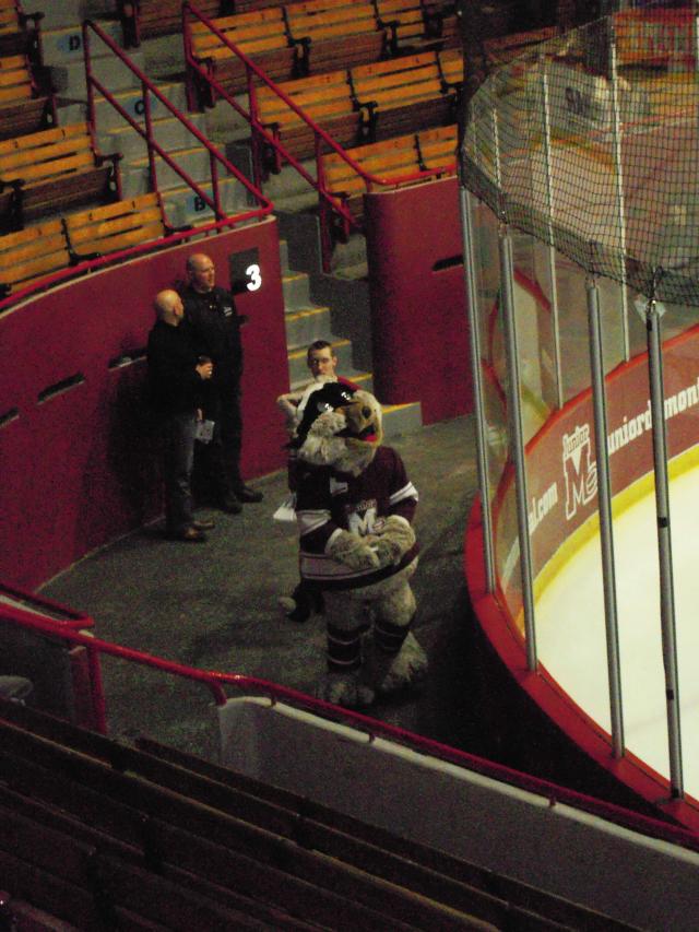 Photo hockey NHL : National Hockey League - AHL - NHL : National Hockey League - AHL - Hockey LHJMQ : Gros plan ... le Junior Montréal