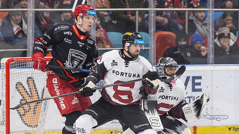 Photo hockey TELH - Tipsport Extraliga Ledního Hokeje - TELH - Tipsport Extraliga Ledního Hokeje - TELH : La fin d