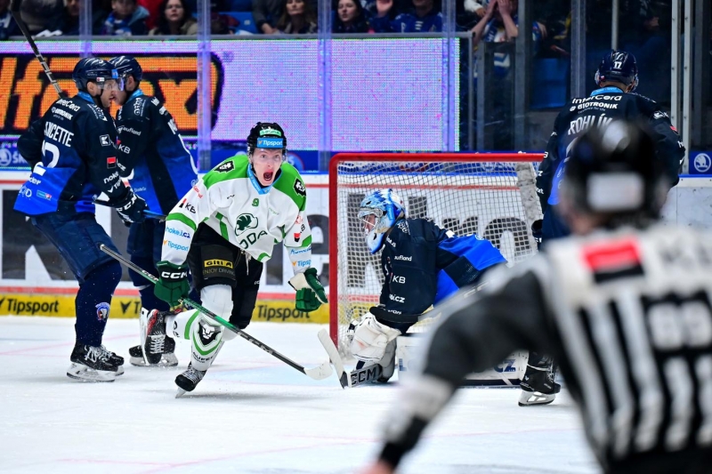 Photo hockey TELH - Tipsport Extraliga Ledního Hokeje - TELH - Tipsport Extraliga Ledního Hokeje - TELH : Les lions et les locaux