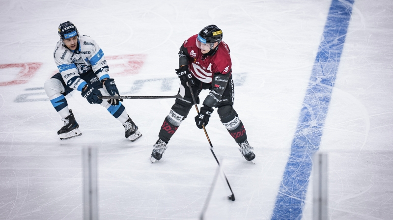 Photo hockey TELH - Tipsport Extraliga Ledního Hokeje - TELH - Tipsport Extraliga Ledního Hokeje - TELH : Puissant tigres blancs