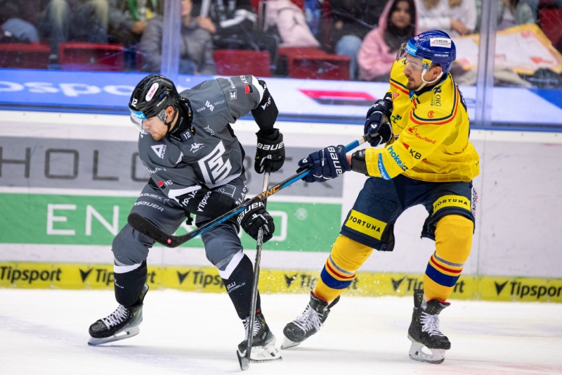 Photo hockey TELH - Tipsport Extraliga Ledního Hokeje - TELH - Tipsport Extraliga Ledního Hokeje - TELH : Reçu cinq sur cinq