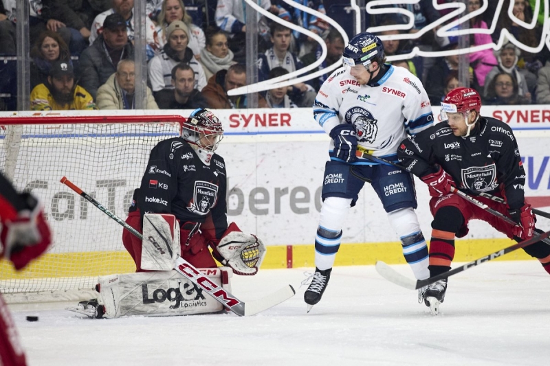 Photo hockey TELH - Tipsport Extraliga Ledního Hokeje - TELH - Tipsport Extraliga Ledního Hokeje - TELH : C