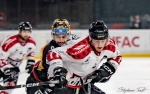 Ligue Magnus  : 5ème journée : Bordeaux vs Amiens 