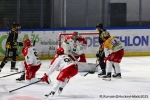 Ligue Magnus  : 5ème journée : Rouen vs Cergy-Pontoise