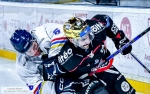 Ligue Magnus  : 24ème journée : Bordeaux vs Nice