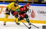 Ligue Magnus  : 18ème journée : Cergy-Pontoise vs Rouen