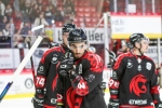 Ligue Magnus  : 29ème journée : Amiens  vs Anglet