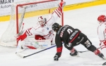 Ligue Magnus  : 31ème journée : Amiens  vs Briançon 
