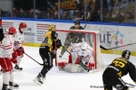 Ligue Magnus  : 35ème journée : Rouen vs Briançon 