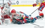 Ligue Magnus  : 37ème journée : Angers  vs Grenoble 