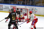 Ligue Magnus  : 39ème journée : Rouen vs Grenoble 