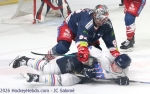 Ligue Magnus  : 42ème journée : Grenoble  vs Nice