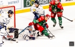 Ligue Magnus - Poule de Maintien - J6 : Cergy-Pontoise vs Gap 