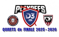 Division 3 - 1/4 de Finale - Match 2 : Wasquehal Lille vs Metz