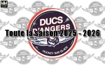 ANGERS - REVUE de PRESSE 2025-2026