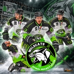 PRESENTATION WILDCATS EPINAL 