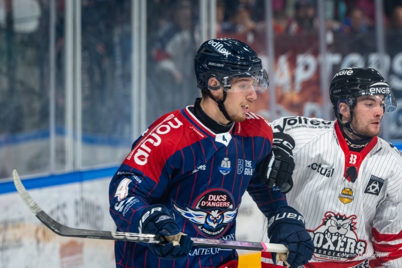 LM : Les Ducs retrouvent le sourire face à Bordeaux : Angers  vs Bordeaux