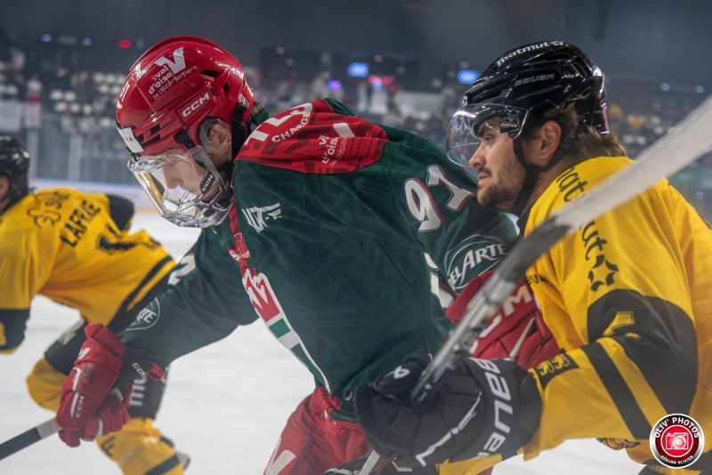 Emoussés, les Dragons perdent chez les Jokers : Cergy-Pontoise vs Rouen