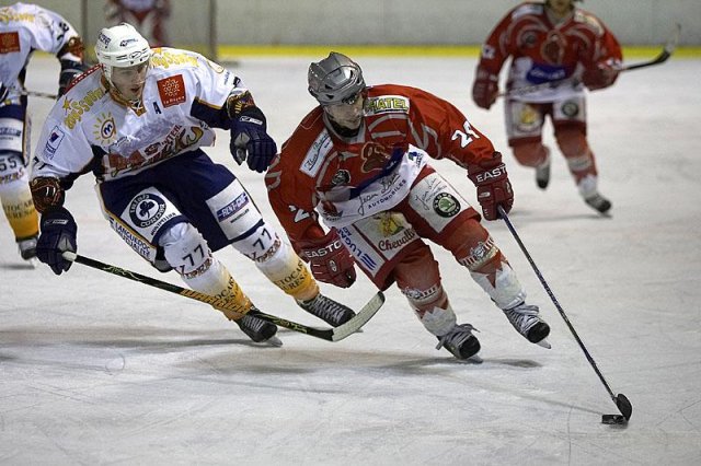 Photo hockey match Annecy - Montpellier  le 22/11/2008