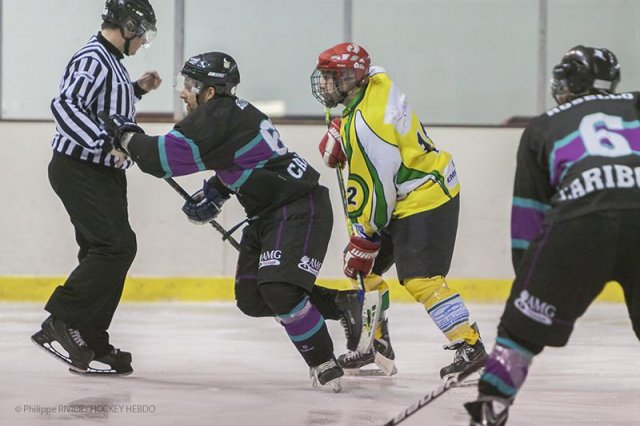 Photo hockey match Viry-Châtillon - Dammarie-les-Lys le 01/02/2014