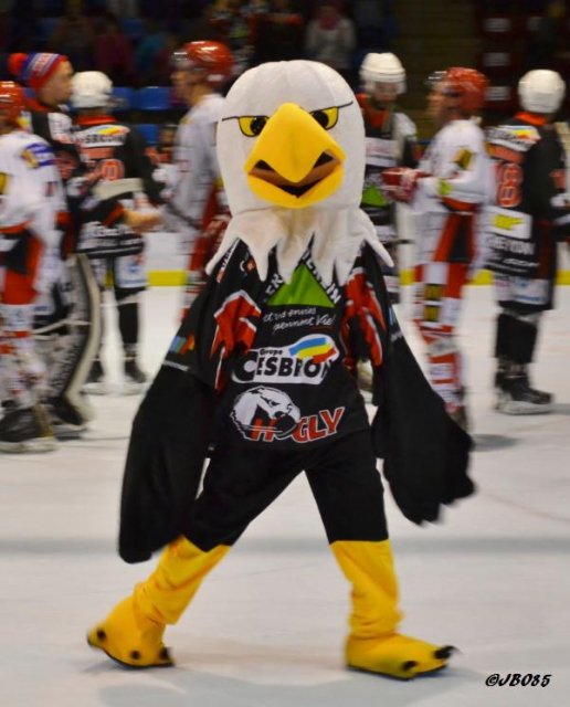 Photo hockey match La Roche-sur-Yon - Amnéville le 20/09/2014