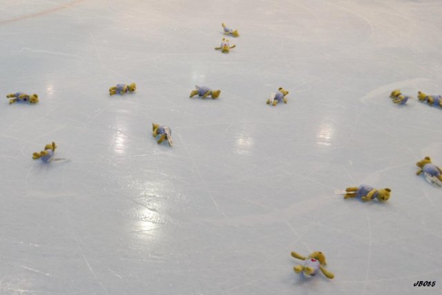 Photo hockey match La Roche-sur-Yon - Evry  le 29/11/2014