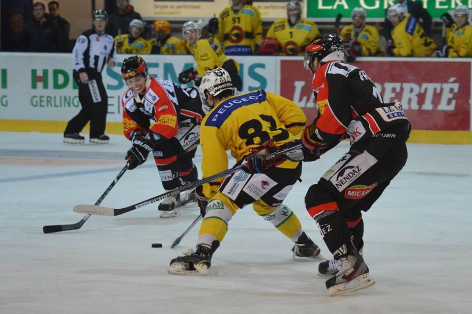 Le derby des Zähringen pour le CP Berne — Reportage