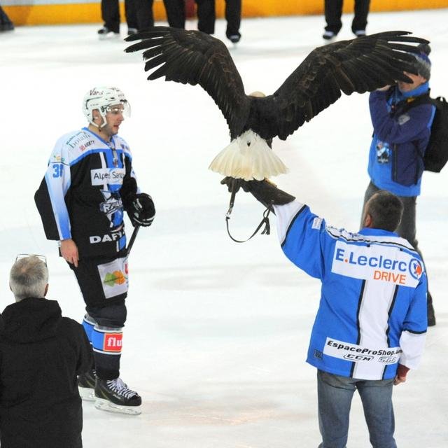 Photo hockey match Gap  - Briançon  le 17/01/2015