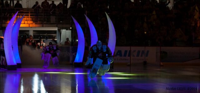 Photo hockey match Rouen - Amiens  le 25/01/2015
