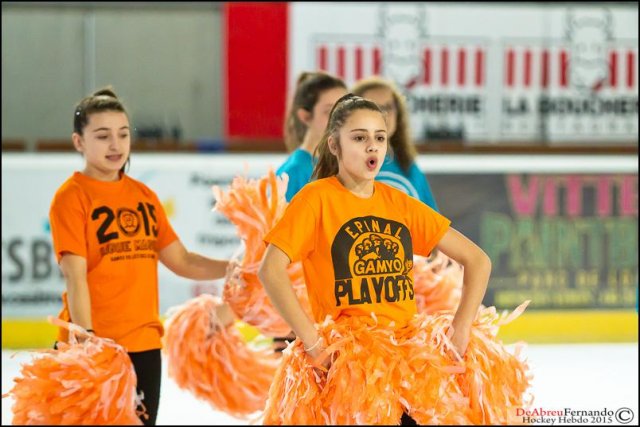Photo hockey match Epinal  - Angers  le 14/03/2015
