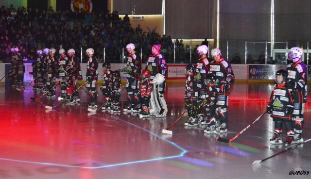 Photo hockey match La Roche-sur-Yon - Chambéry le 28/03/2015