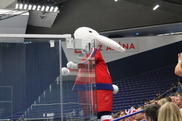 Photo hockey match Denmark - Belarus le 05/05/2015