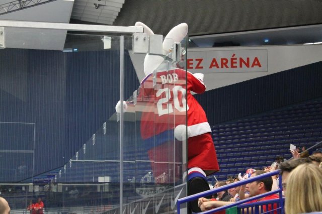 Photo hockey match Denmark - Belarus le 05/05/2015