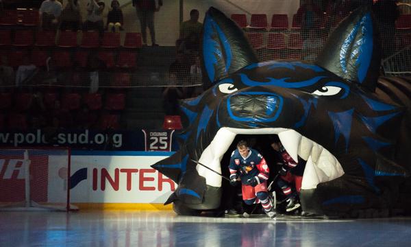 CHL : Respect Grenoble ! — Reportage