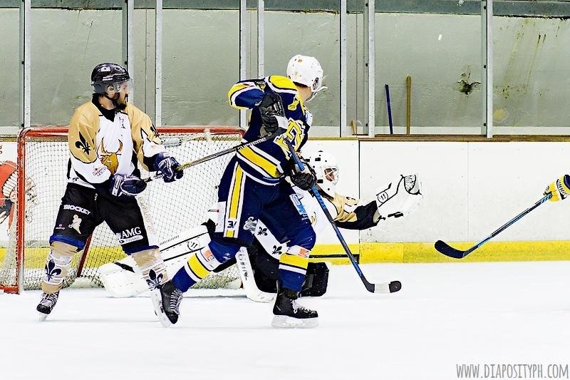 Evry / Viry 13 - 3 Dammarie-les-Lys