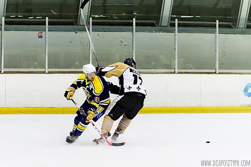 Evry / Viry 13 - 3 Dammarie-les-Lys