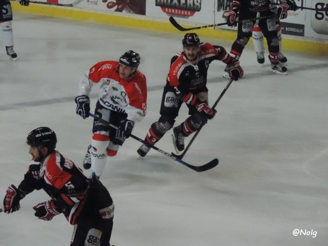 Photo hockey match Bordeaux - Angers  le 21/11/2015