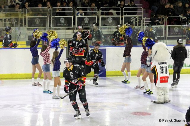 Photo hockey match Nice - La Roche-sur-Yon le 27/02/2016