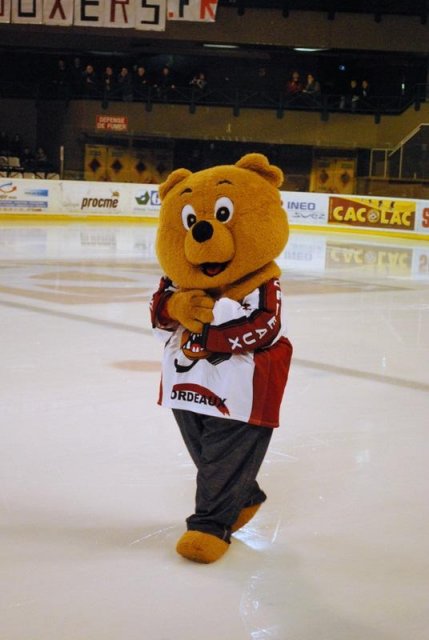 Photo hockey match Bordeaux - Reims* le 31/01/2009
