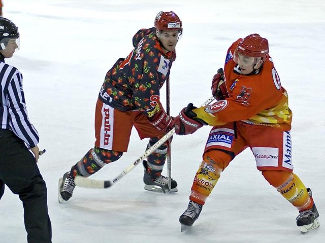 Photo hockey reportage D3 : P.O.- Anglet - Orléans