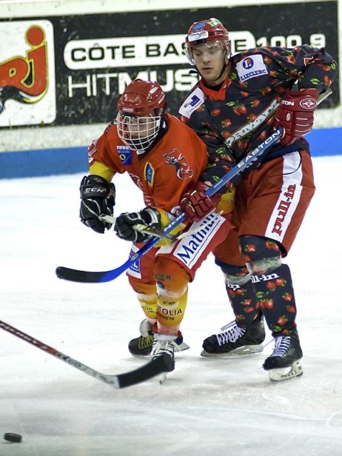 Photo hockey reportage D3 : P.O.- Anglet - Orléans