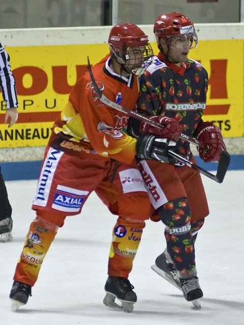 Photo hockey reportage D3 : P.O.- Anglet - Orléans