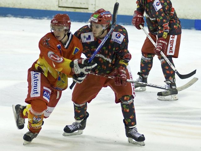 Photo hockey reportage D3 : P.O.- Anglet - Orléans