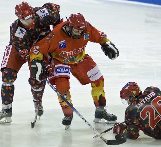 Photo hockey reportage D3 : P.O.- Anglet - Orléans