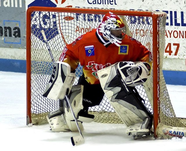Photo hockey reportage D3 : P.O.- Anglet - Orléans