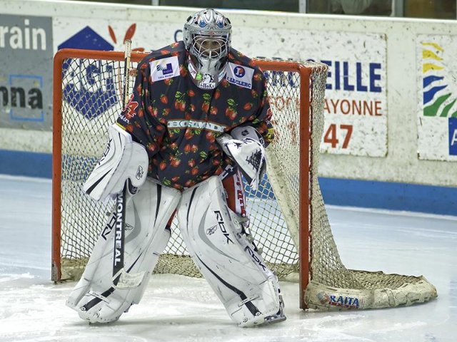 Photo hockey reportage D3 : P.O.- Anglet - Orléans