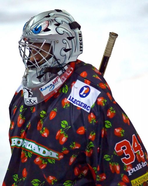 Photo hockey reportage D3 : P.O.- Anglet - Orléans