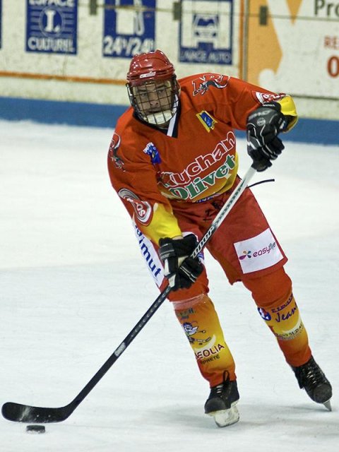 Photo hockey reportage D3 : P.O.- Anglet - Orléans