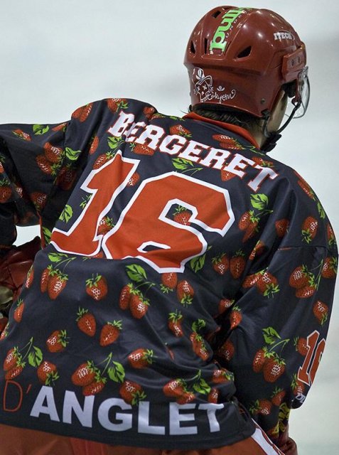 Photo hockey reportage D3 : P.O.- Anglet - Orléans