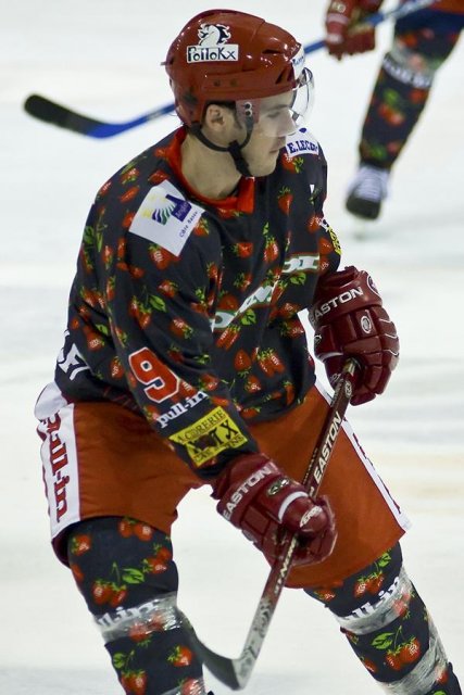 Photo hockey reportage D3 : P.O.- Anglet - Orléans